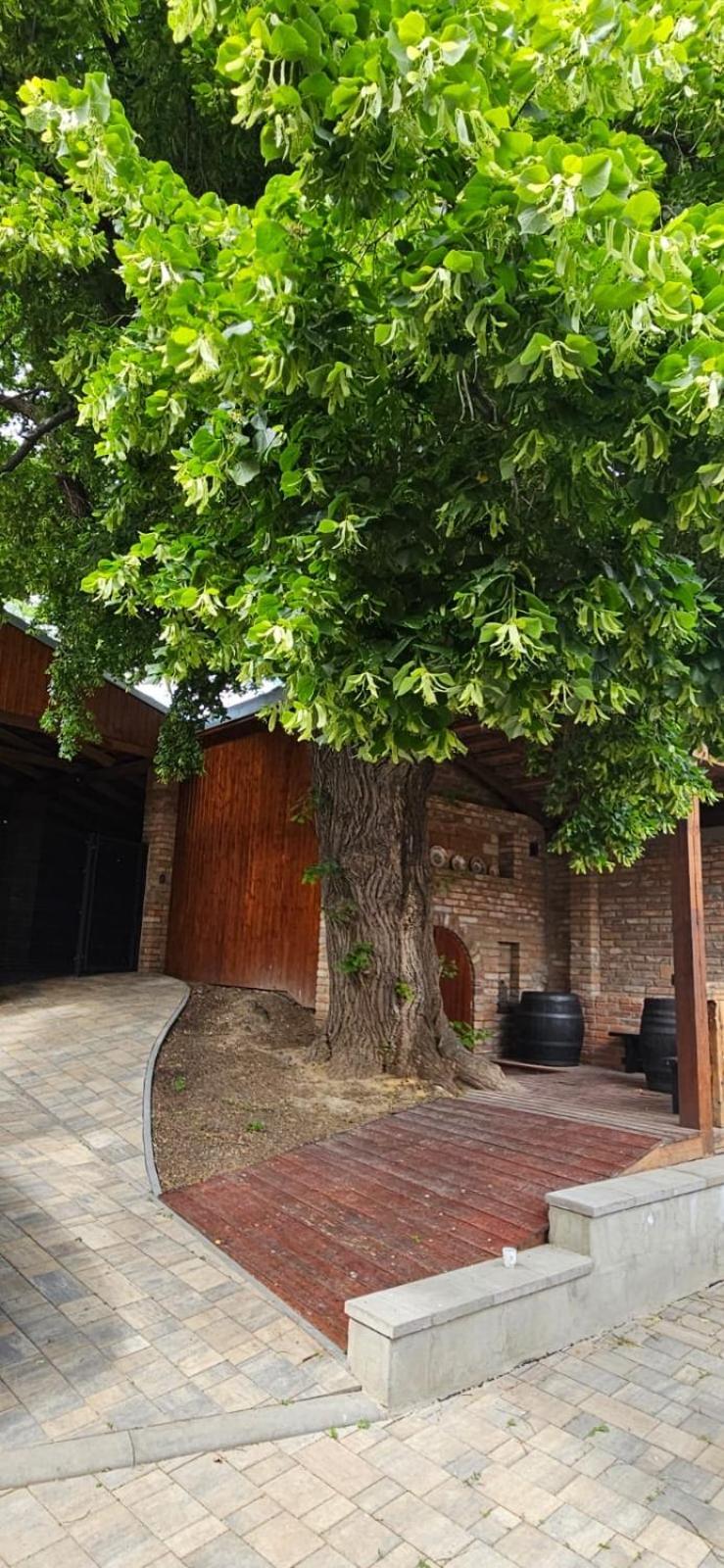 Apartmany Pulgary Булгари Экстерьер фото